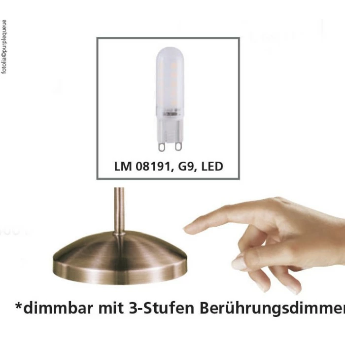 Paul Neuhaus Leuchten Paul Neuhaus PINO Tischleuchte LED Messing, 1-flammig – Bild 3