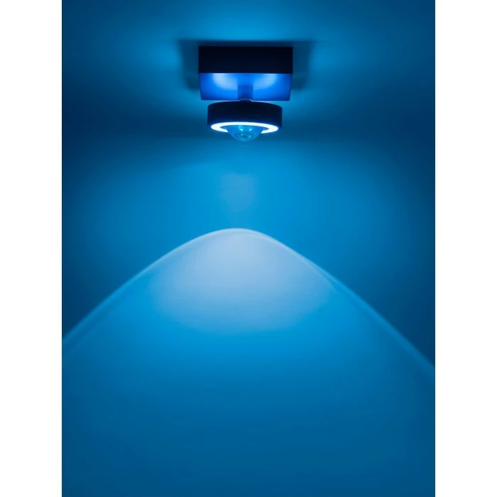 Paul Neuhaus Q-Serie Paul Neuhaus Q-MIA Deckenleuchte LED Anthrazit, 1-flammig, Fernbedienung – Bild 14