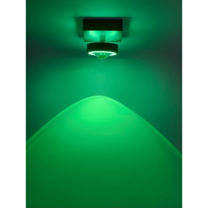 Paul Neuhaus Q-Serie Paul Neuhaus Q-MIA Deckenleuchte LED Anthrazit, 1-flammig, Fernbedienung – Bild 16