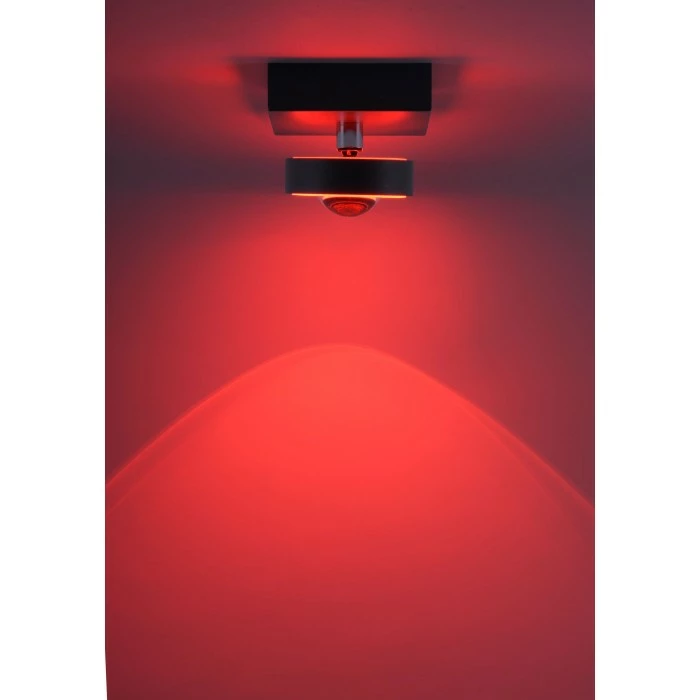 Paul Neuhaus Q-Serie Paul Neuhaus Q-MIA Deckenleuchte LED Anthrazit, 1-flammig, Fernbedienung – Bild 17