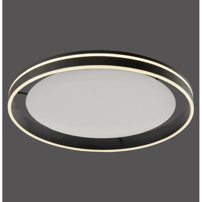 Paul Neuhaus Q-Serie Paul Neuhaus Q-VITO Deckenleuchte LED Anthrazit, 1-flammig, Fernbedienung – Bild 2